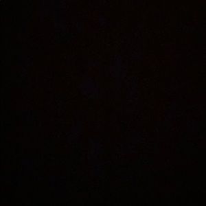 Meet your Posher, Jackson